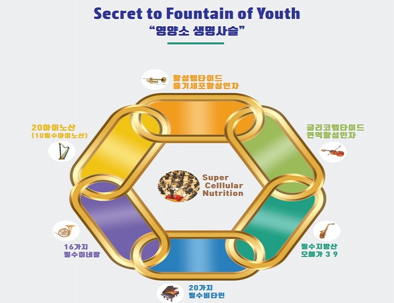 텔로유스,teloyouth, 텔로유스 한국,teloyouth 한국,telomega, telomega 텔로메가,surrean,수례안 113