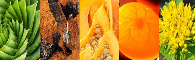 텔로유스,teloyouth, 텔로유스 한국,teloyouth 한국,telomega, telomega 텔로메가,surrean,수례안 115