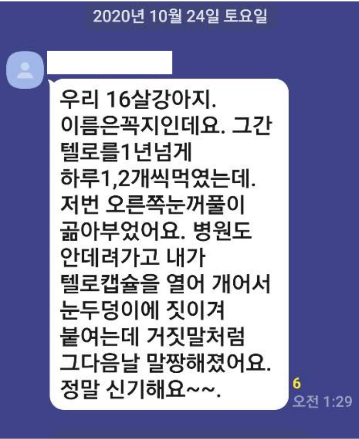 텔로유스 시력회복 눈상처회복 강아지눈회복 안과문제 안과질환