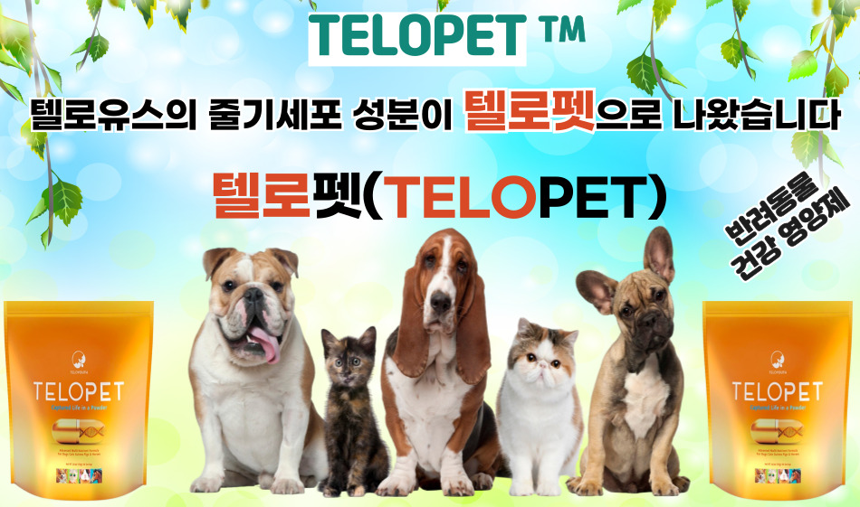텔로펫,텔로펫 체험사례,텔로유스 반려동물 영양제,텔로펫 영양제,텔로펫 강아지 영양제,텔로펫 고양이 영양제,텔로펫 반려동물 영양제,미국 텔로펫,한국 텔로펫,0511