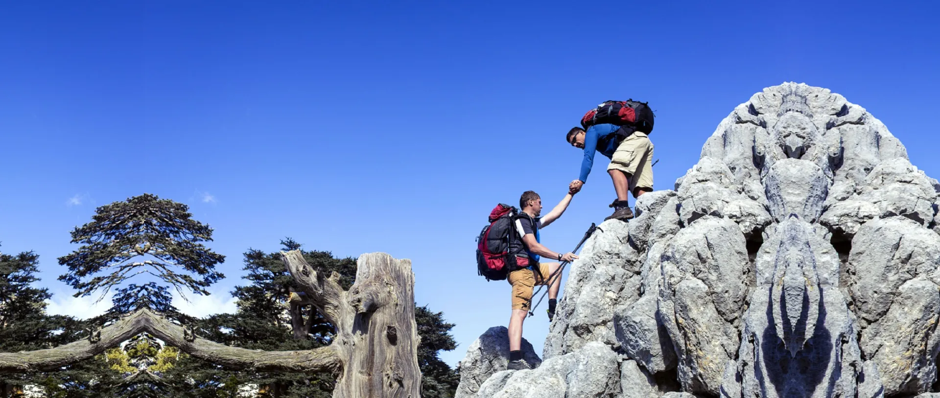 텔로유스가 함께하는 세상